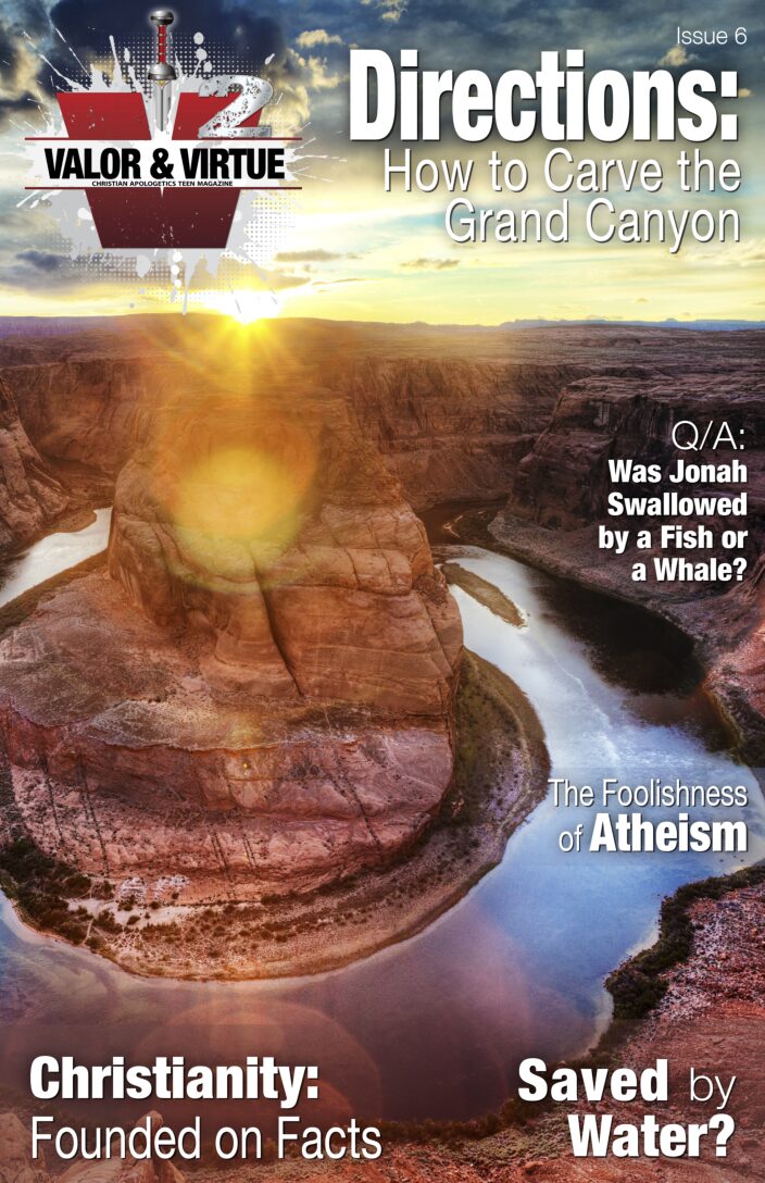 Valor & Virtue – Issue 6