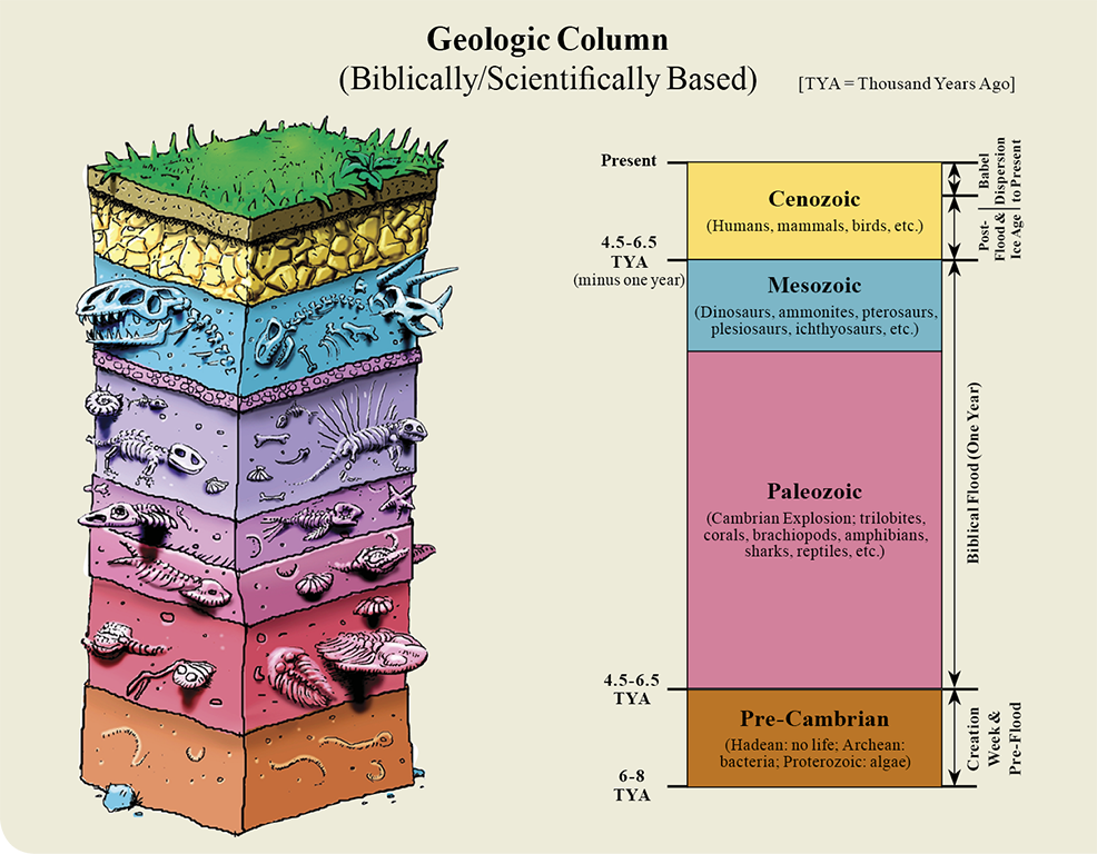 Does the Fossil Record Support Creation and the Flood? | Evidence4Creation