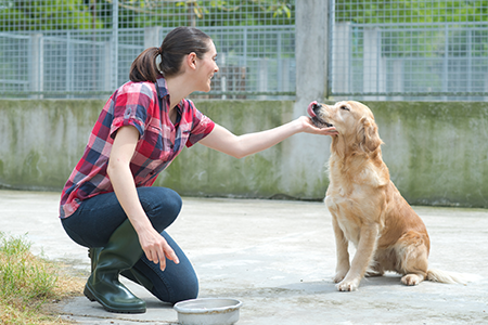 Animals Helping Animals