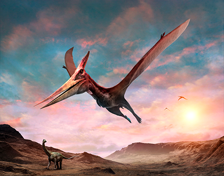 Pterosaurs Flight In The Age of Dinosaurs Exhibit Catalogue