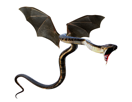 winged snake dragon