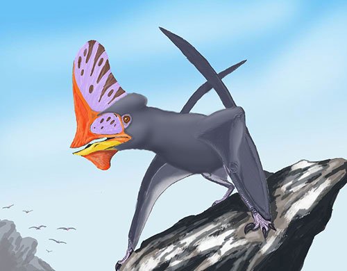 Drones and Dinosaurs: Pterodactyls Could Inspire the Next Generation of  Planes. 