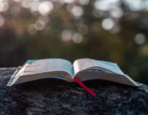 An open Bible on a rock