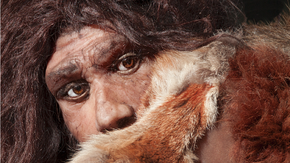 Dutch Neanderthal's Face Revealed